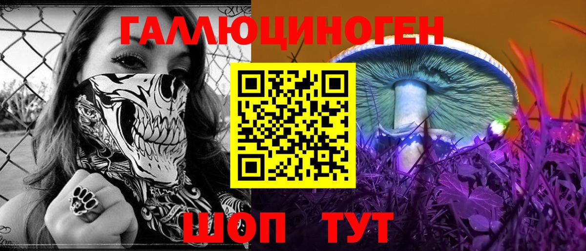 Галлюциногенные грибы Psilocybine cubensis  Псилоцибиновые грибы ЛСД  Вход с VPN  Моздок 